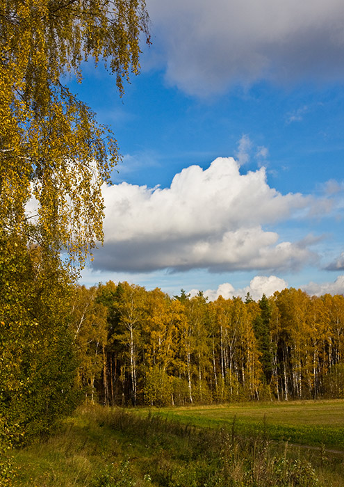 Золотая осень