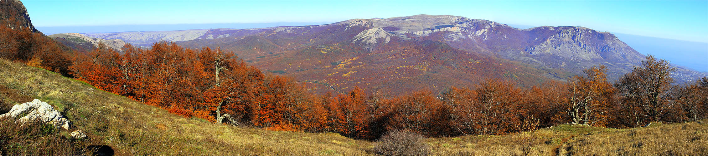 Демерджи осенний