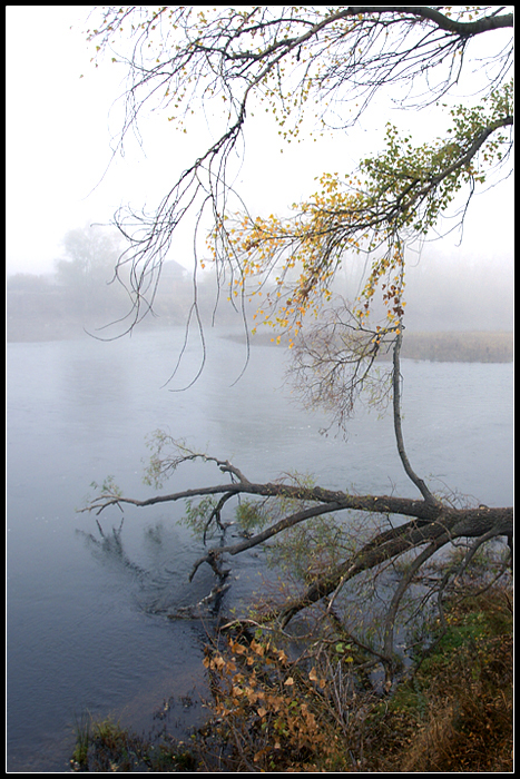 Осенняя лирическая.