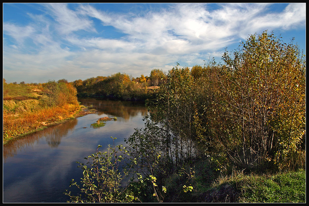 лесная зарисовка