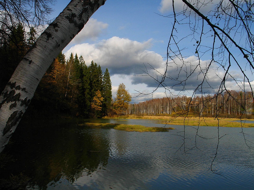 По Васнецовским местам