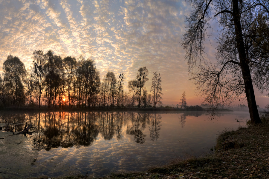 Река... просыпается...