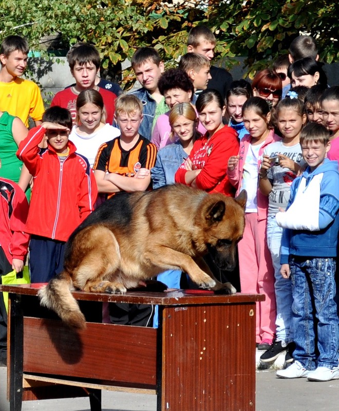 Ой, как неудобно получилось...