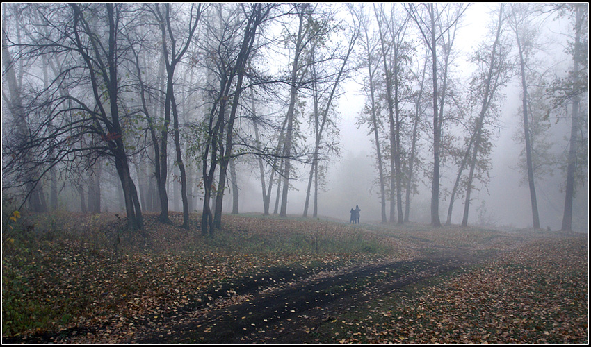 Тишина.