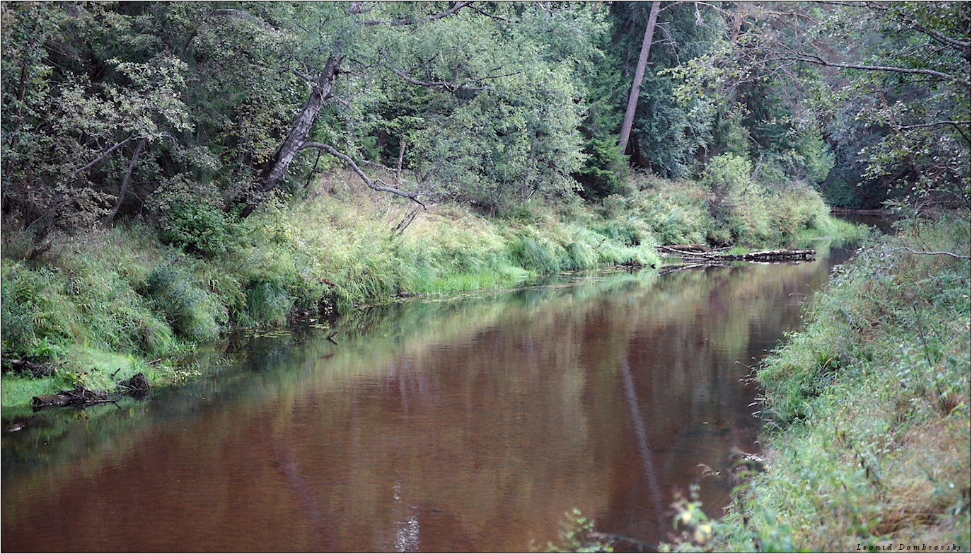 Сарагожа