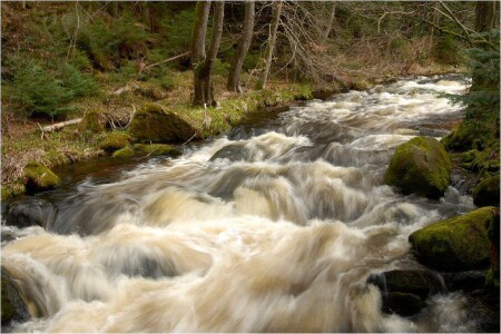 После дождей