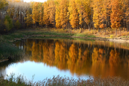 Осенняя акварель