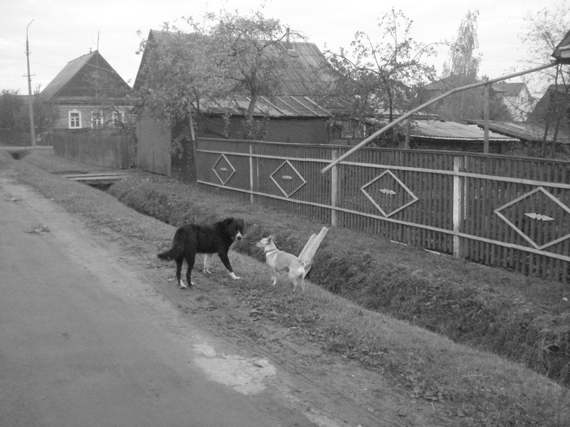 Знакомство