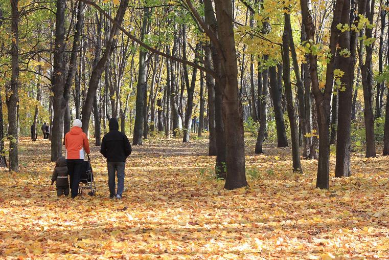 золотая осень