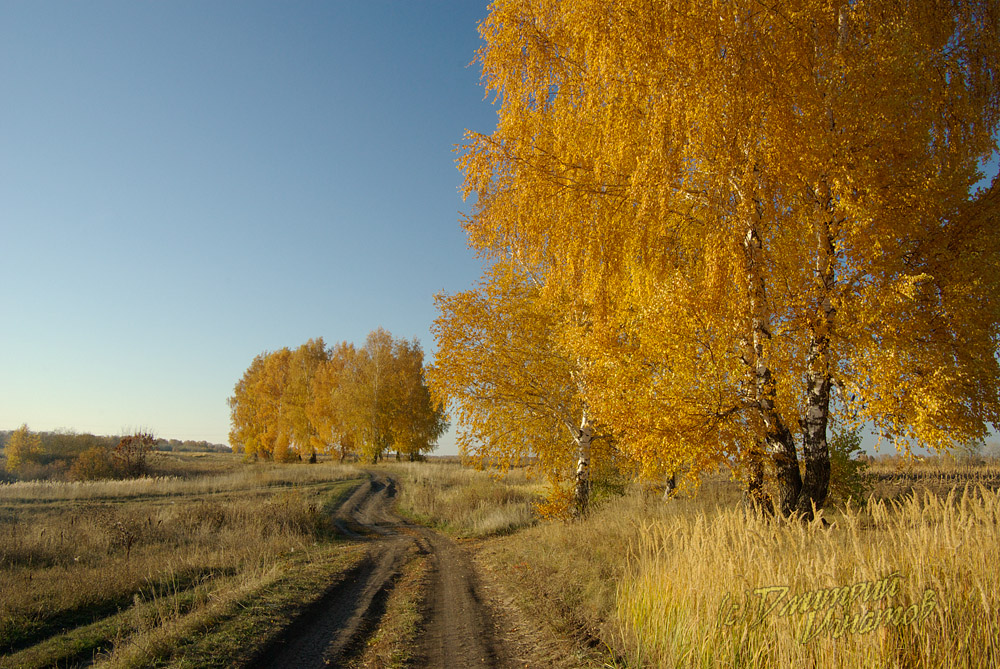 Золотая осень