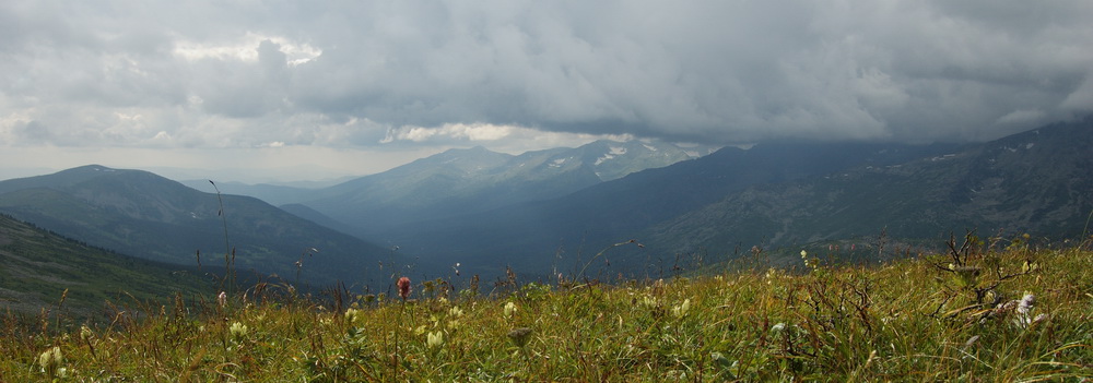 Кузнецкий Алатау, август 2010г.