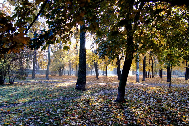 Осеннее утро.