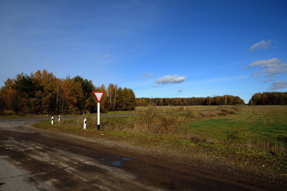 Осень, уступи дорогу зиме