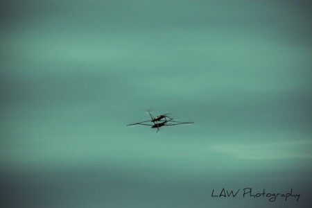 Маленькое &amp;quot;кто&amp;quot;