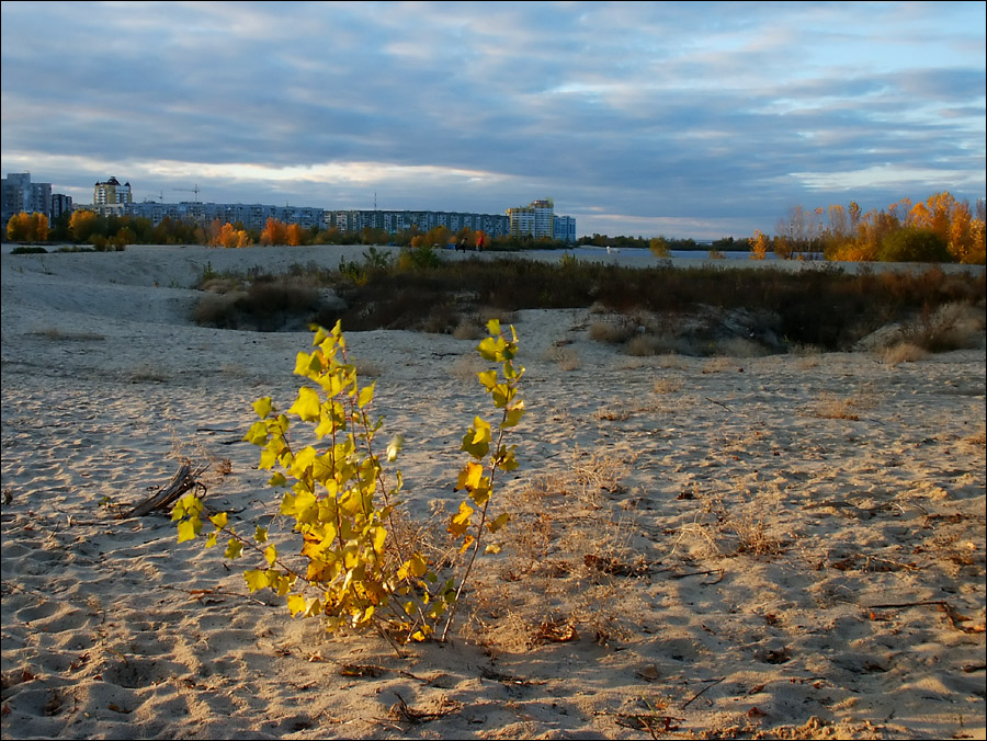 В городе осень