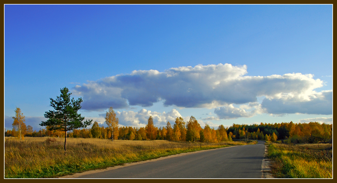 Дорога в осень