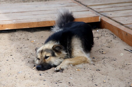 Обкуренный