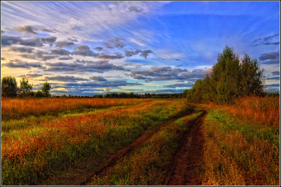 Дорога в осень