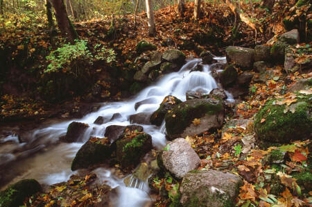 Осенняя вода