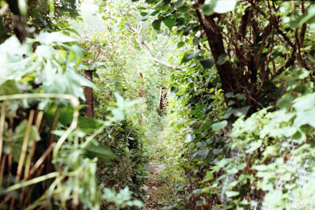 дорога в лето