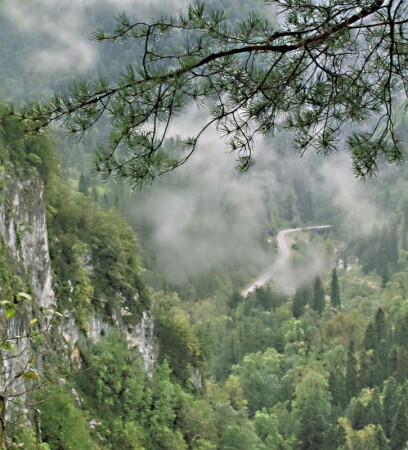 Дорога на оз. Рица