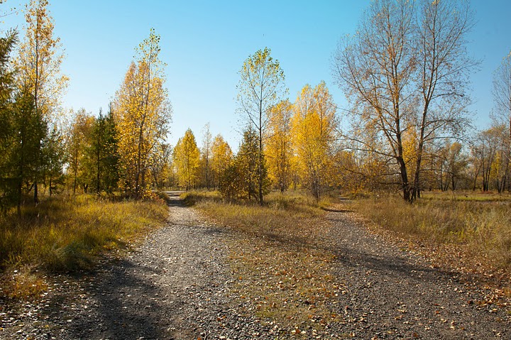 Золотая осень