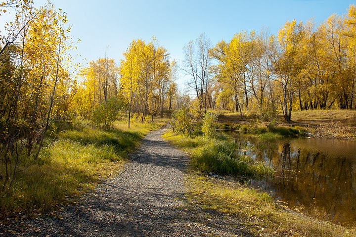 Осеннее