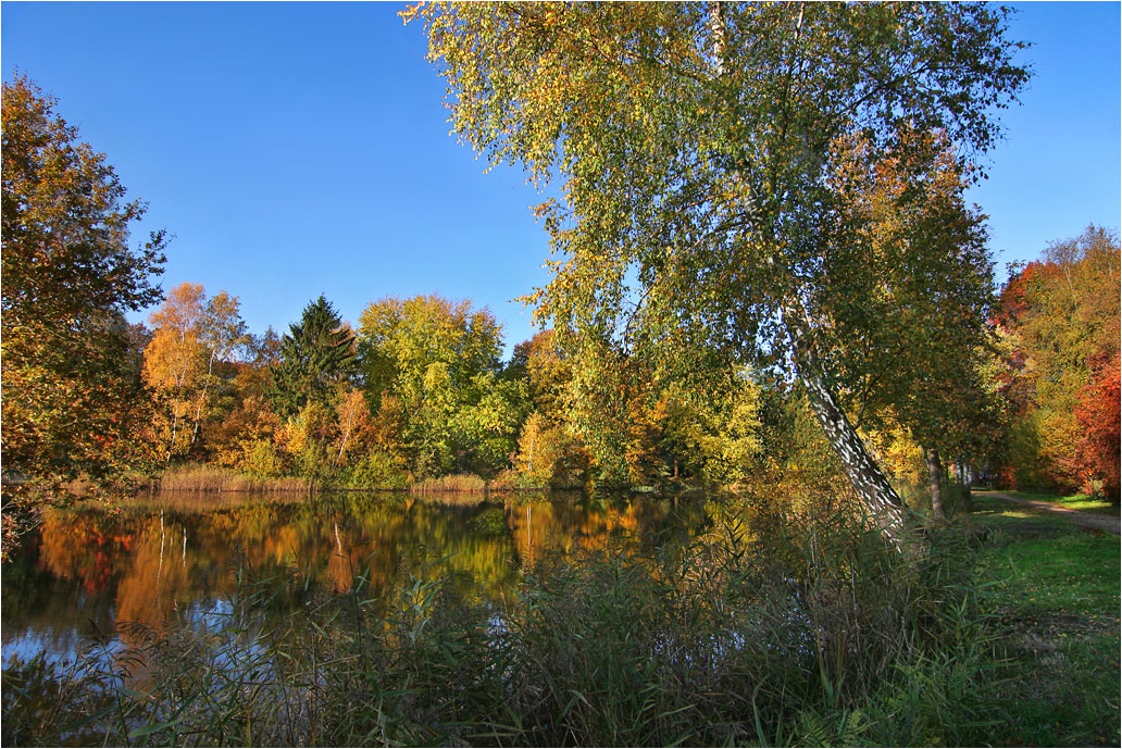 Блики осени