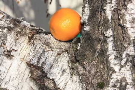 Он такой привычный и такой чужой тут