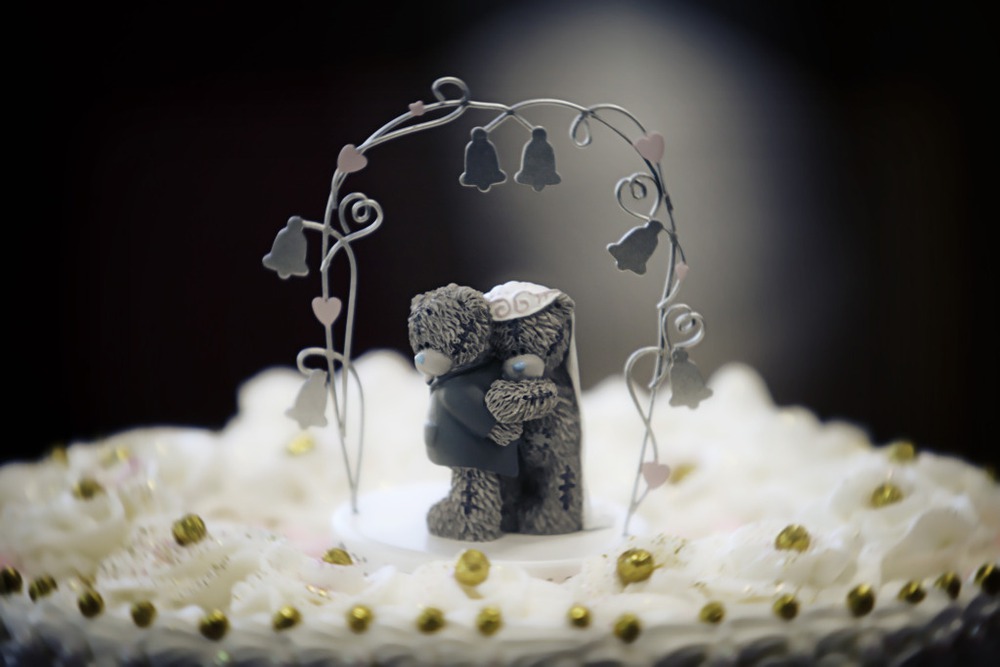 Teddy Bear Wedding