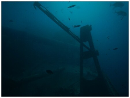 "Tistlegorm"