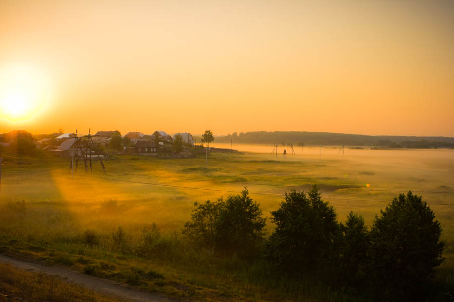 Foggy morning