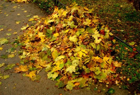 Апофеоз жизни