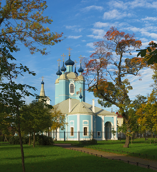 В утреннем свете