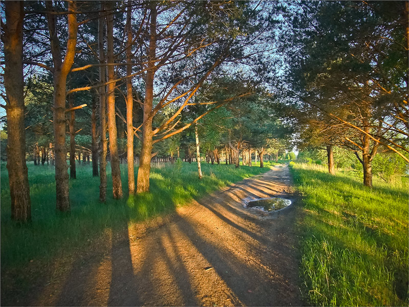 В косых лучах заката.