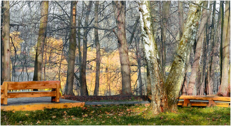 уголок в парке