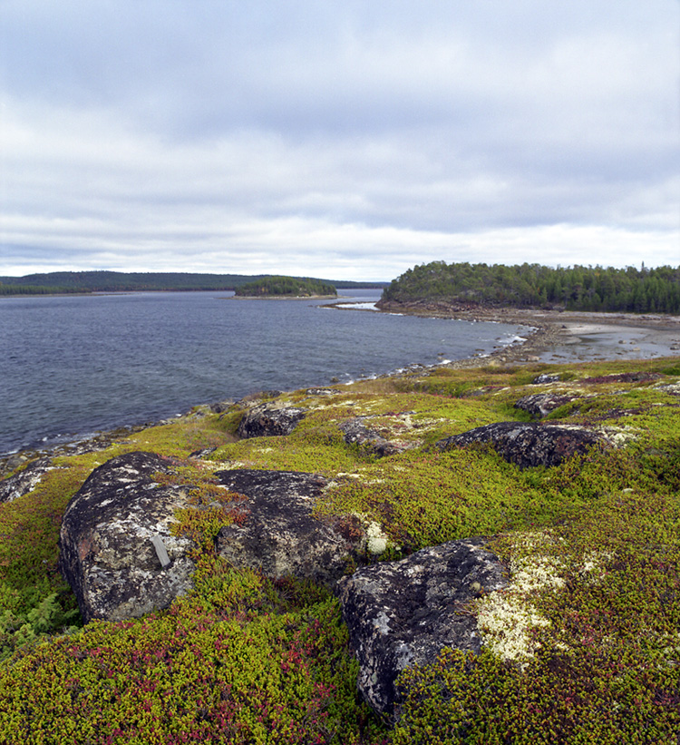 Белое море 2010 _ 9