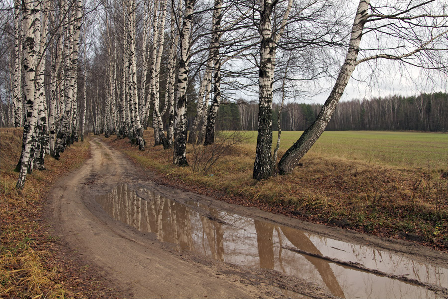 Осенние прогулки.