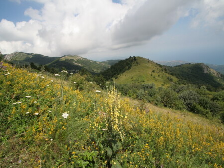 &amp;gt;&amp;gt;&amp;gt;