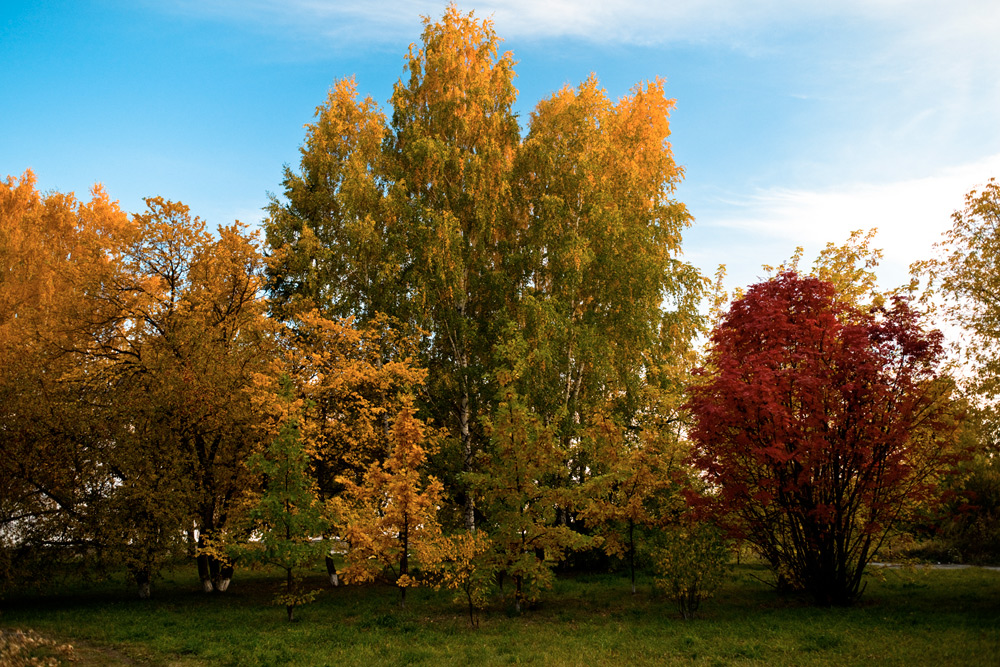 Краски осени