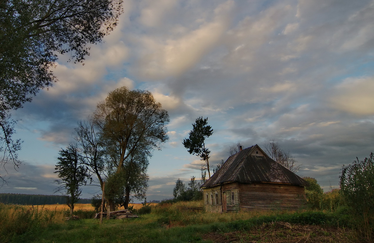 Деревенский пейзаж