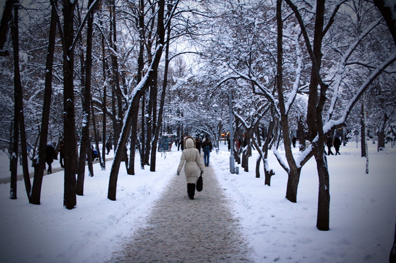 Городская тропинка