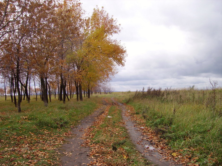 Осенний пейзаж