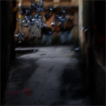 Лангольеры