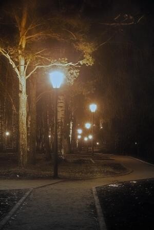 огни ночной провинции