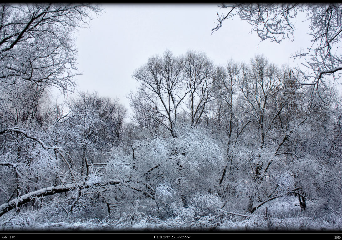 Let it snow, let it snow, let it snow...