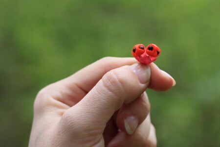 братья &amp;quot;Инопланетяне&amp;quot;