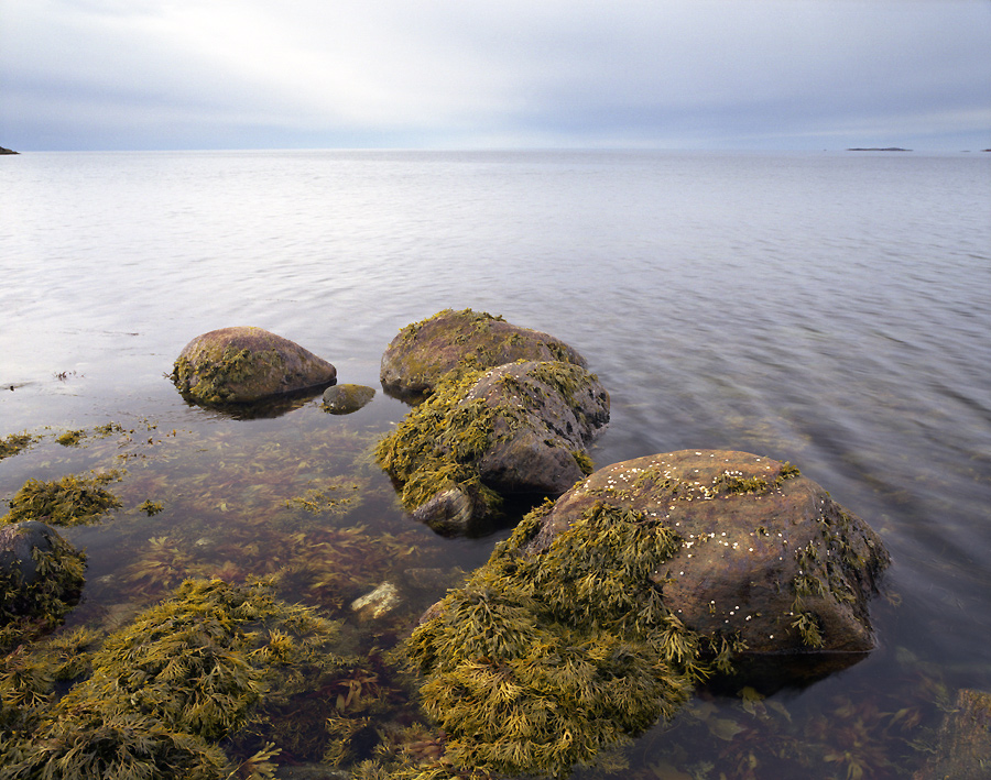 Белое море 2010 _ 11