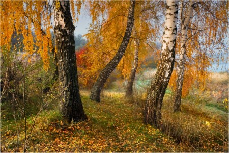 НА ОСЕННЕМ БЕРЕГУ...