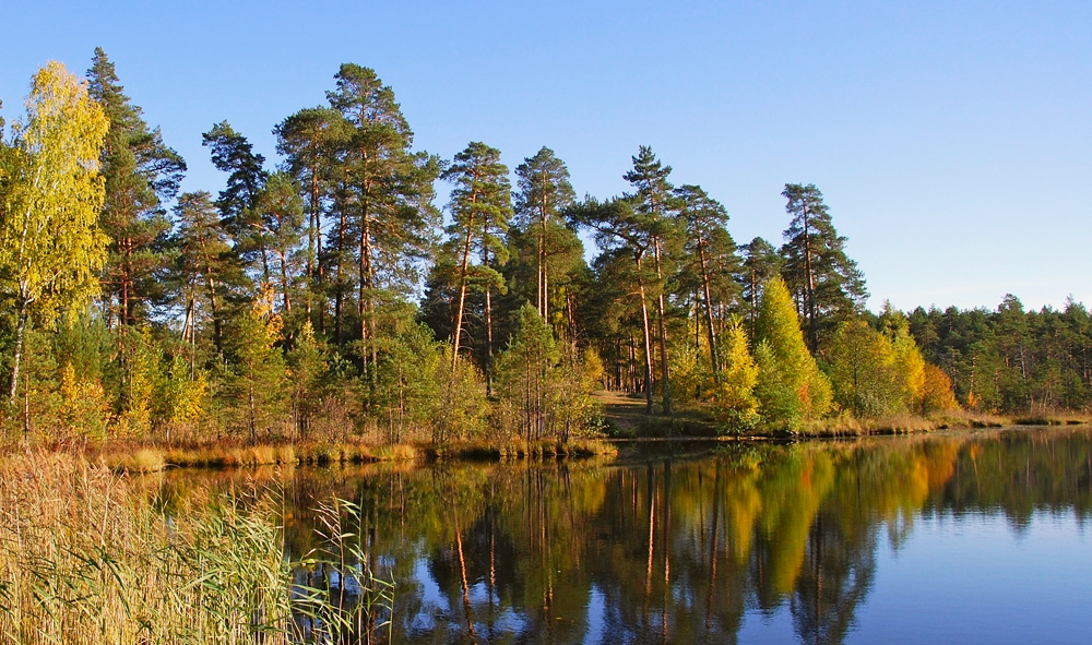 Краски осени